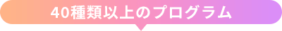 40種類以上のプログラム