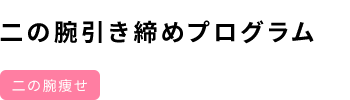 二の腕引き締めプログラム