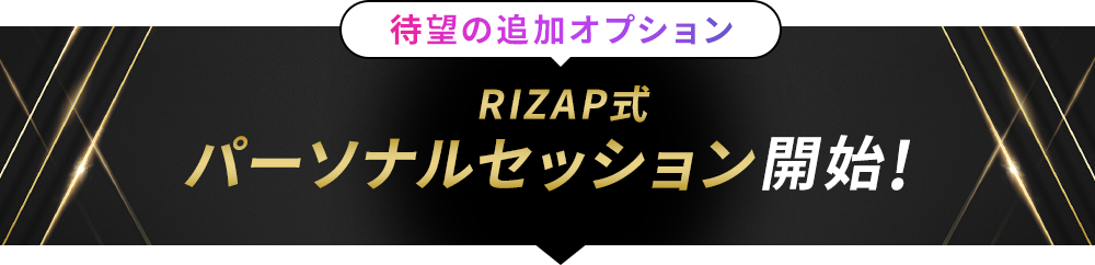 待望の追加オプション