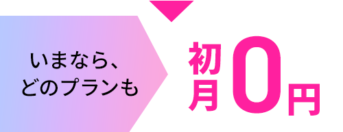 今ならどのプランも初月0円