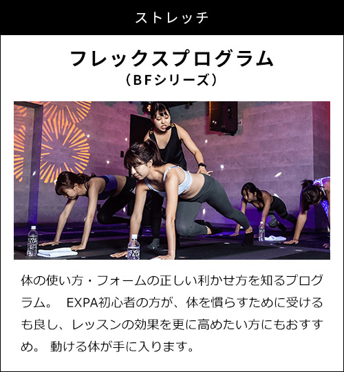 フレックスプログラム