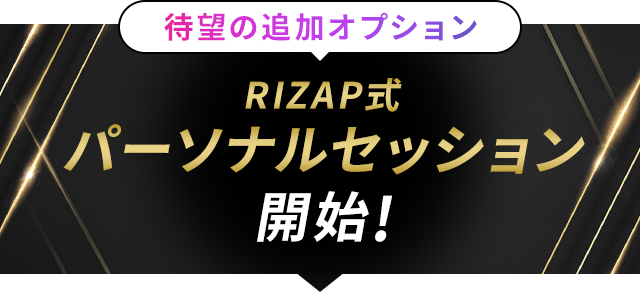 待望の追加オプション