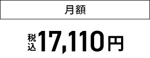 月額税込 17,110円